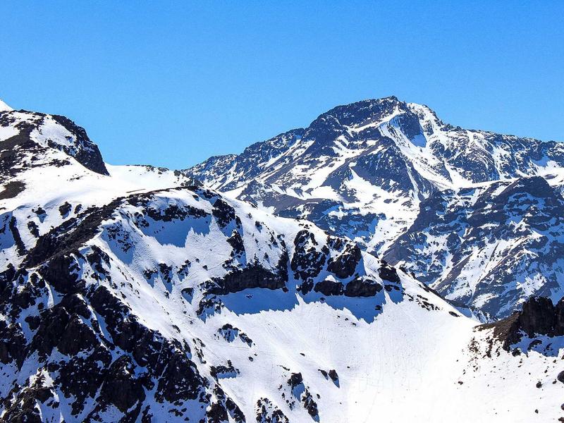硅基生命<br>AI Agent 自主运行沙盒